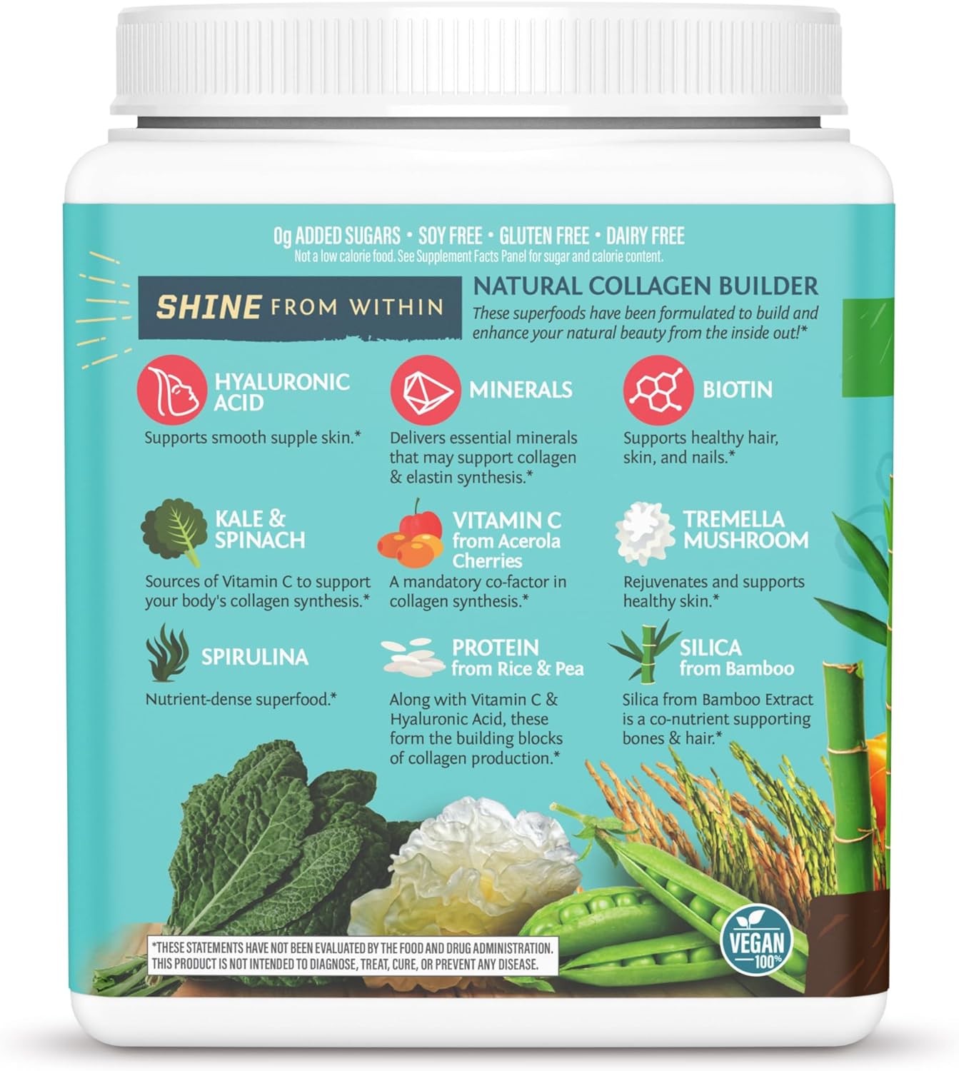 Sunwarrior - Collagen Building Protein Peptides Powder - Chocolate Fudge 500g